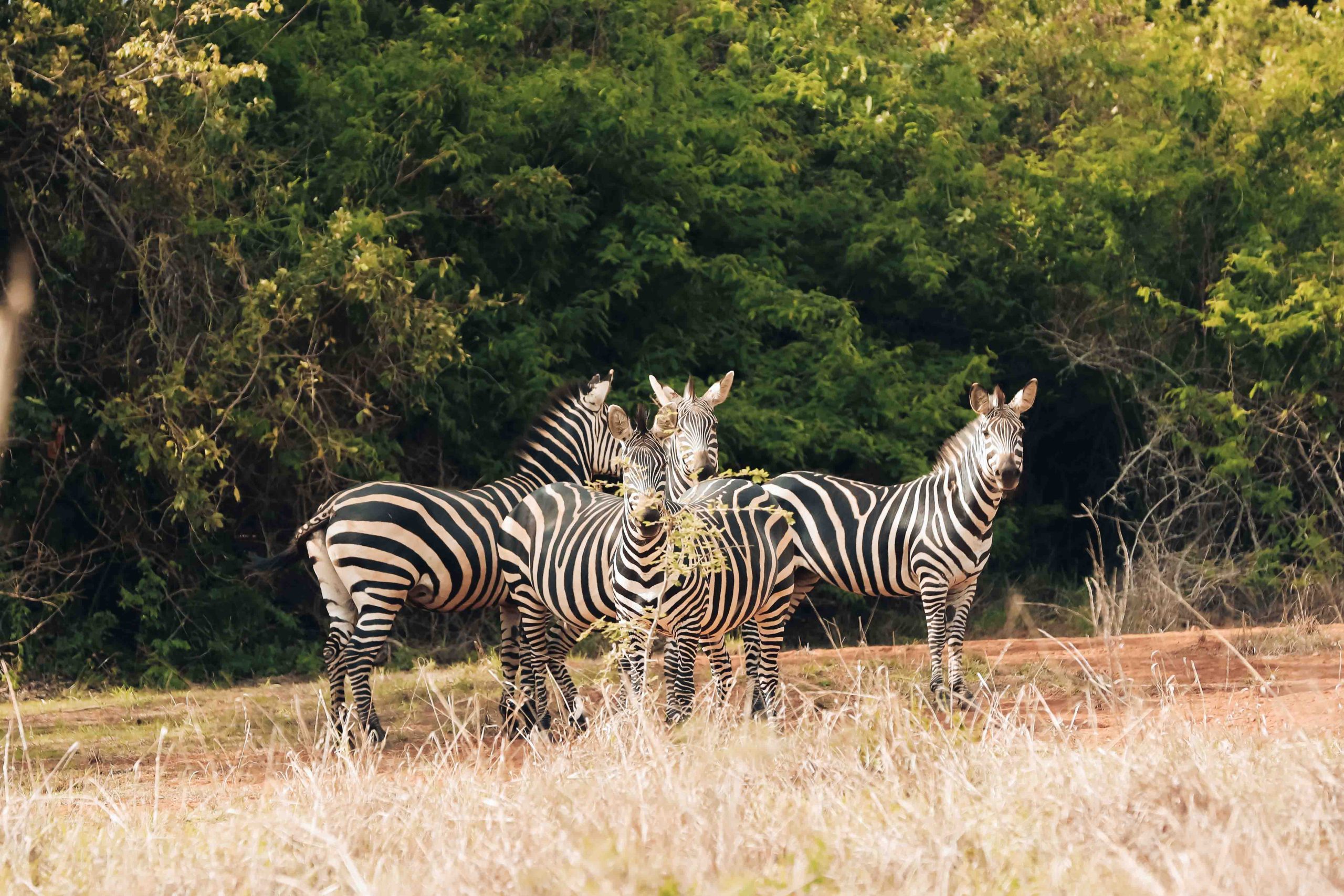 TANZANIA